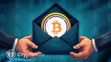 Wrapped Tokens The Bridge Uniting Blockchain Worlds