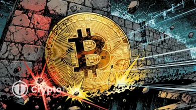U.S. Transfers $606K in Bitfinex Hack Bitcoin to Coinbase, Sparks Sell-Off Speculation